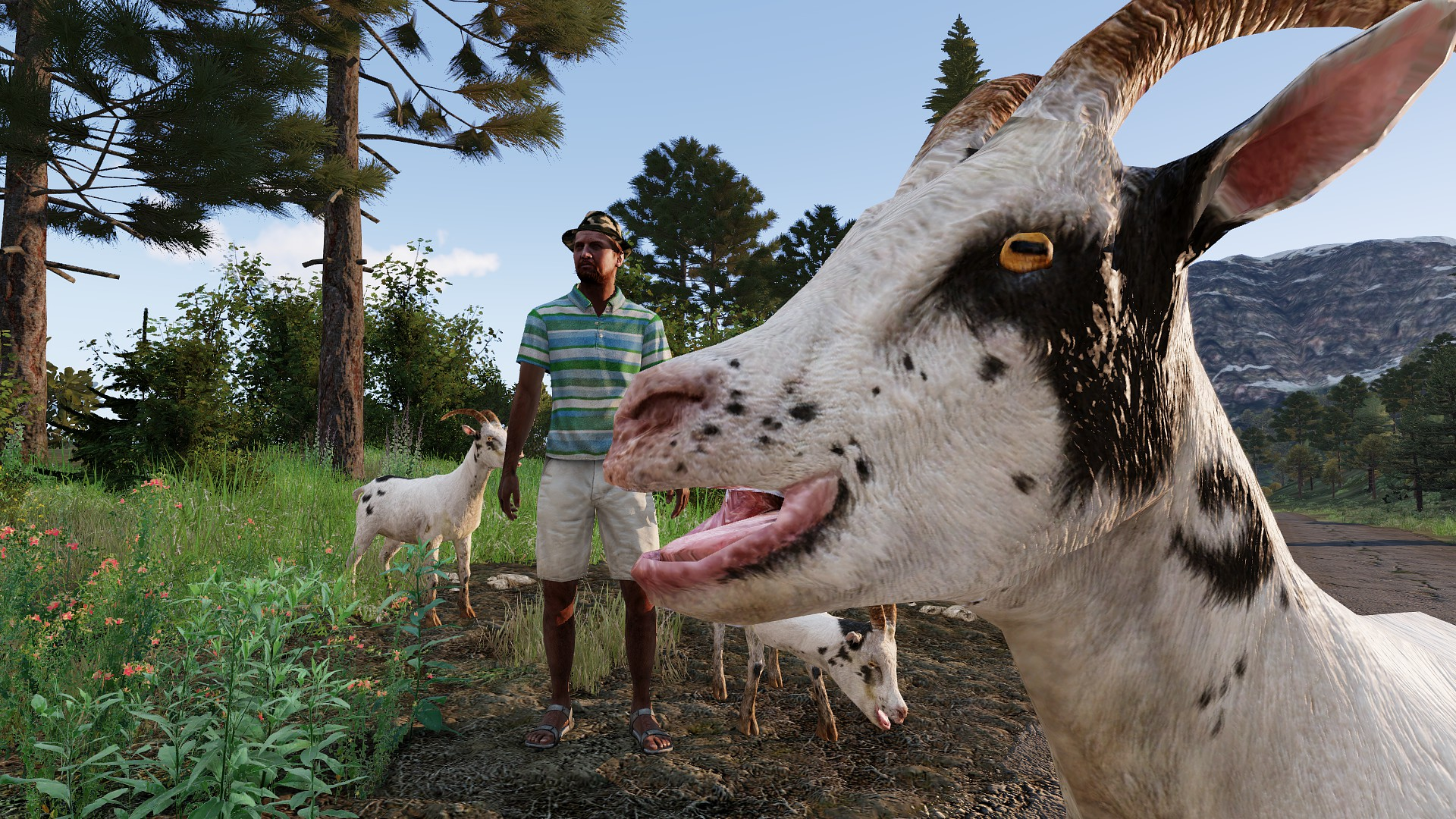 5 Ranger Caught up in Goat Controversy